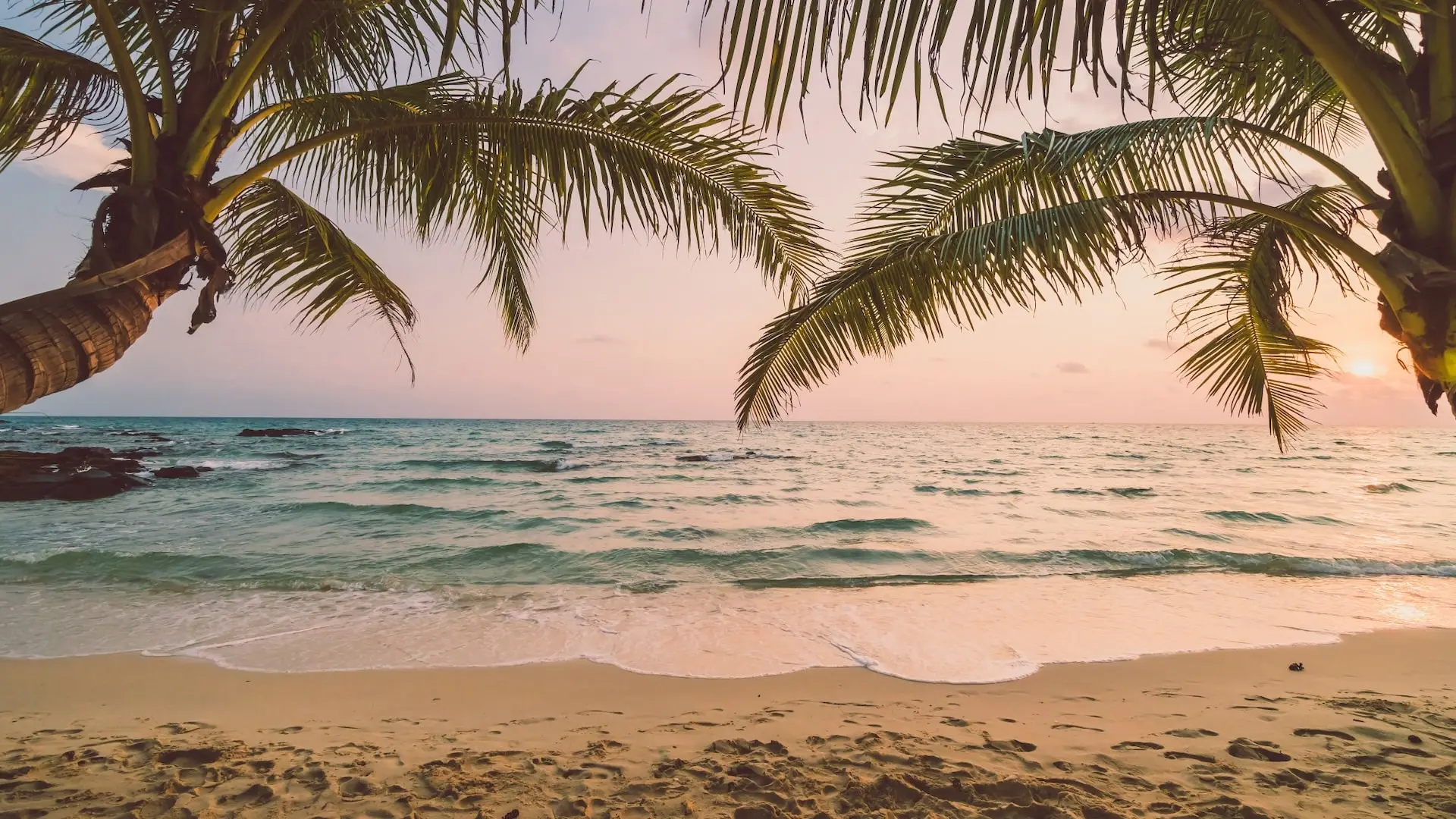 Blog de Domus Vallarta Inmobiliaria