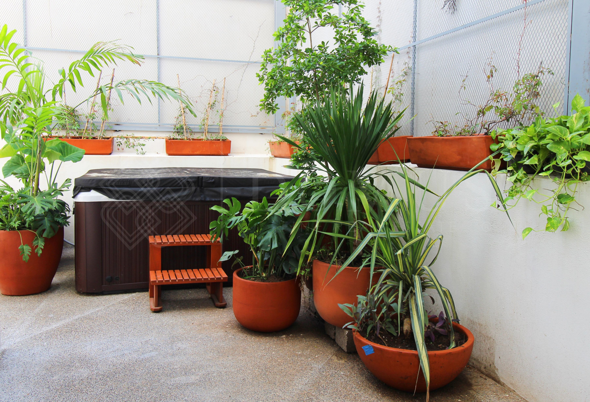 Galeria de Life Bucerias PB-3 - Departamento a una cuadra de la playa en venta en Bucerías