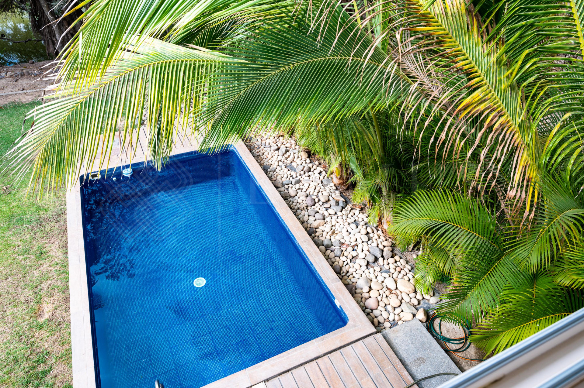 Galeria de Guacamayas 28